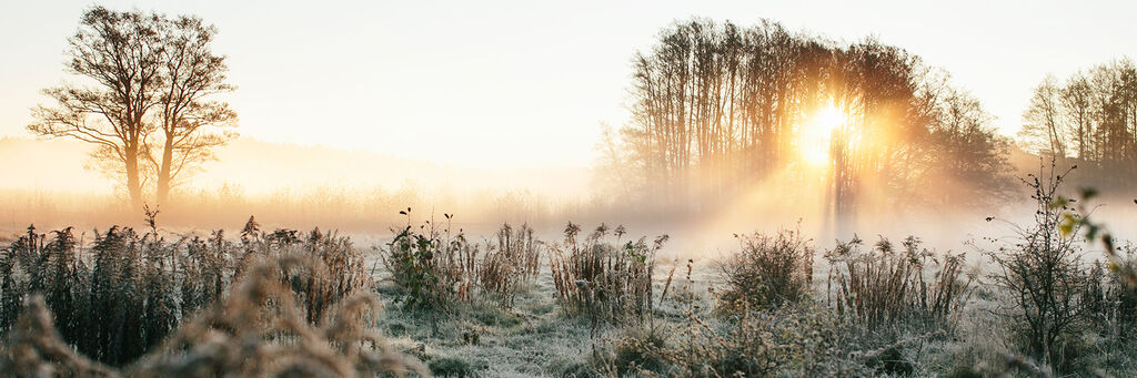 Die Sonne geht im Nebel über einem Feld auf.